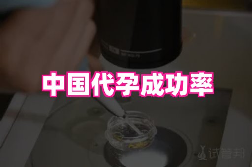 杭州助孕网站 2